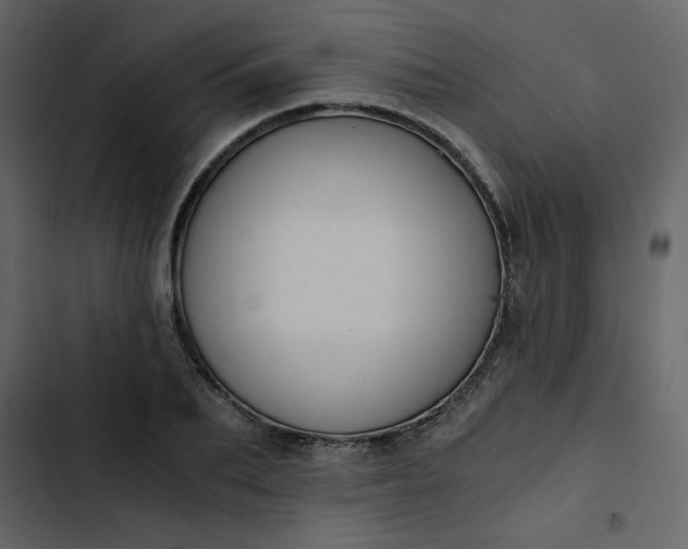 X0000102820887200809021248