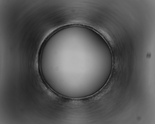 X0000102820888200809021248