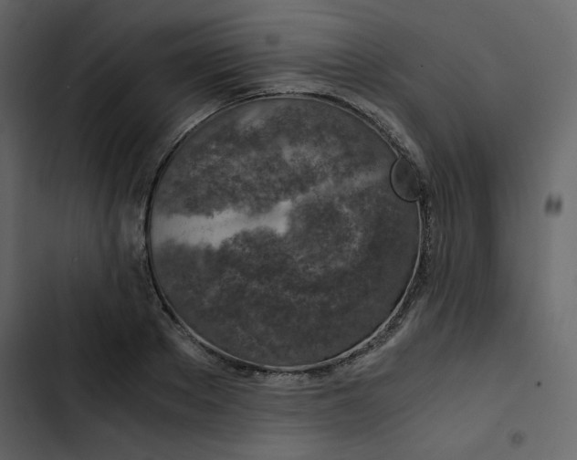 X0000102820889200809021248