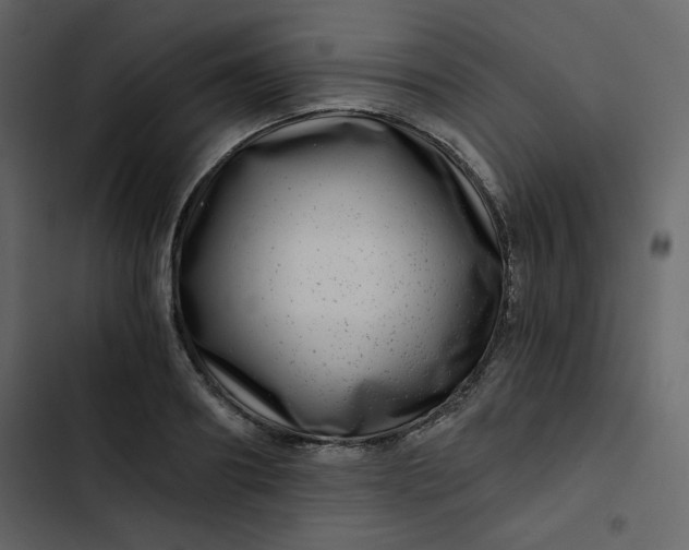 X0000102820890200809021248