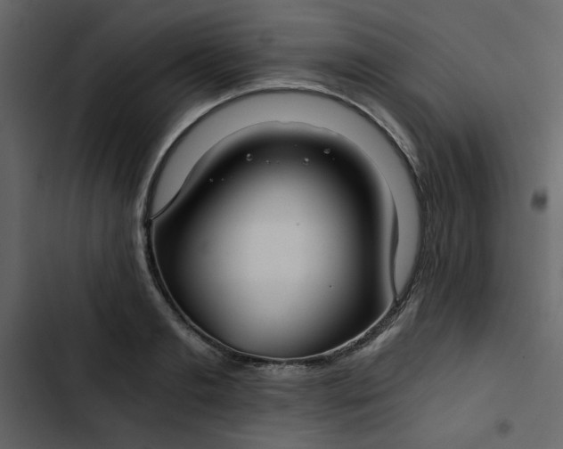 X0000102820893200809021248