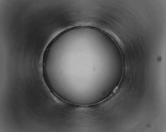 X0000102820894200809021248