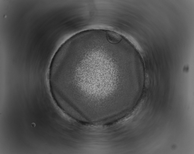 X0000102820895200809021248