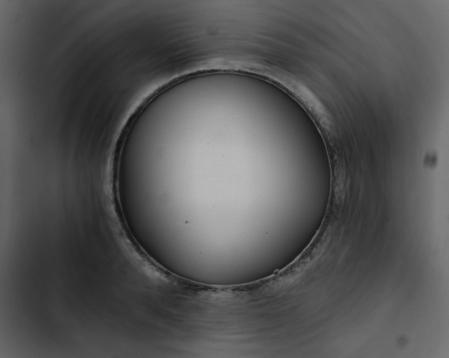 X0000102820896200809021248