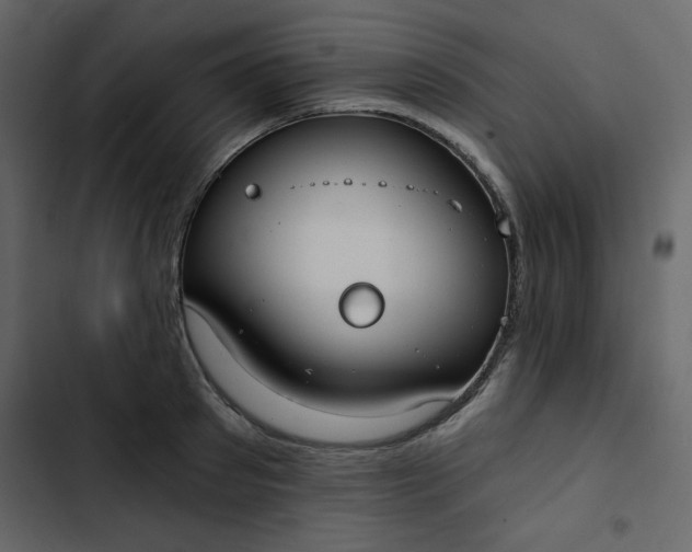 X0000102820897200809021248