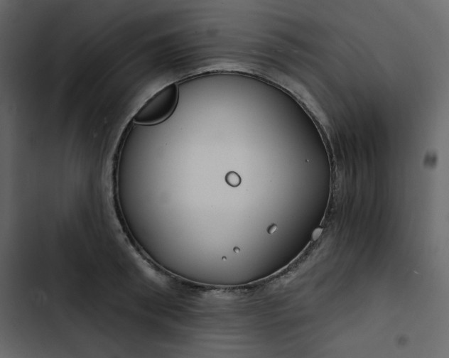 X0000102820898200809021248