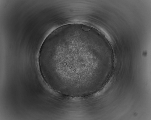 X0000102820899200809021248