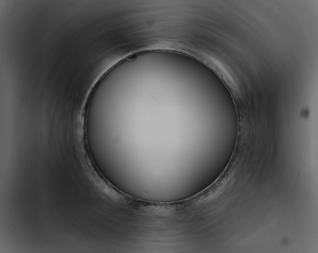 X0000102820900200809021248