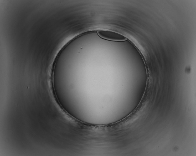 X0000102820901200809021248