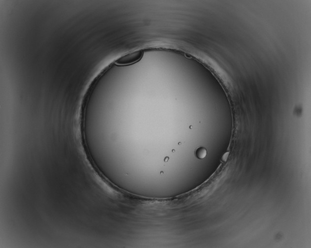 X0000102820902200809021248