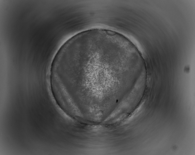 X0000102820903200809021248