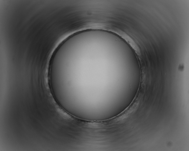 X0000102820904200809021247