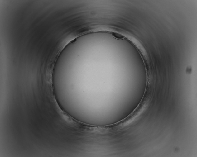 X0000102820905200809021247
