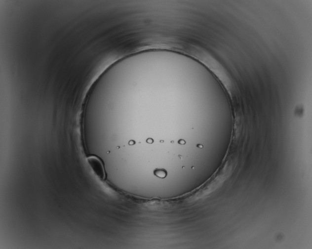 X0000102820906200809021247