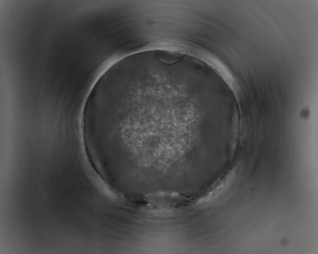X0000102820907200809021247
