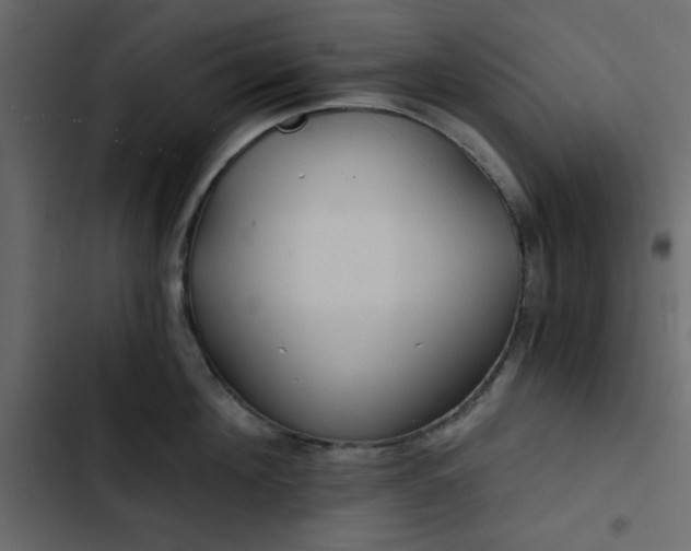 X0000102820908200809021247