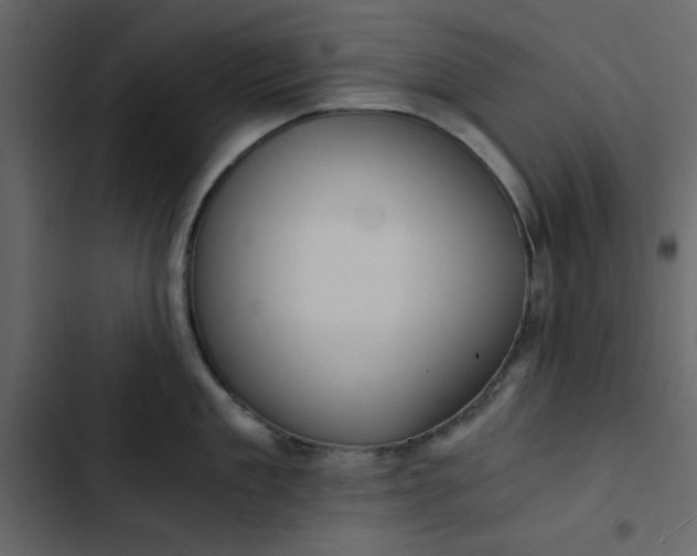 X0000102820909200809021247