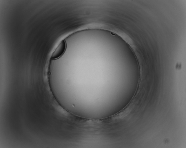 X0000102820912200809021247