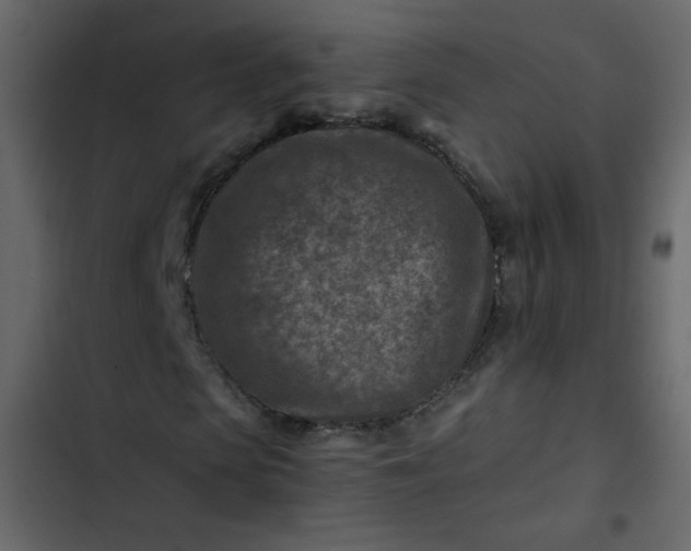 X0000102820913200809021247