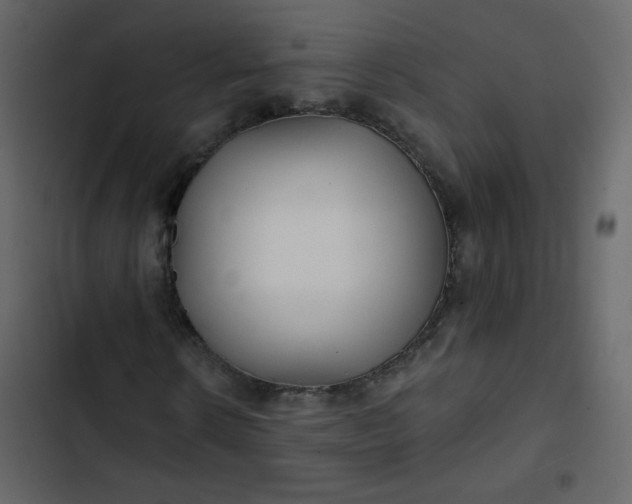 X0000102820914200809021247