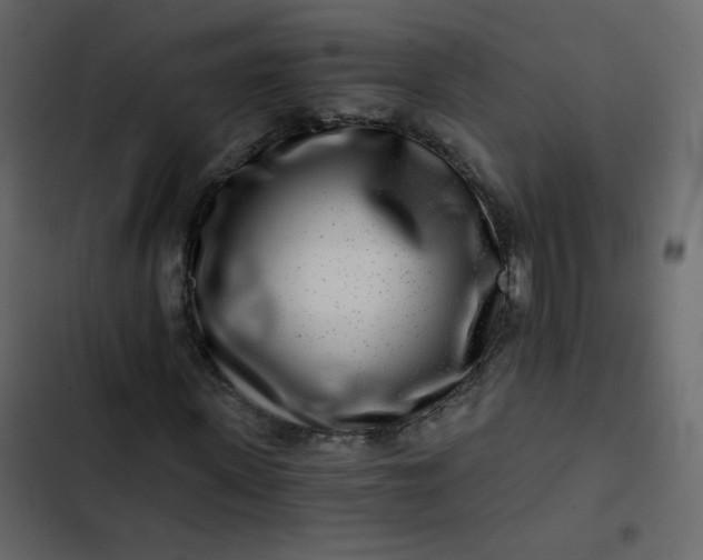 X0000102820915200809021247