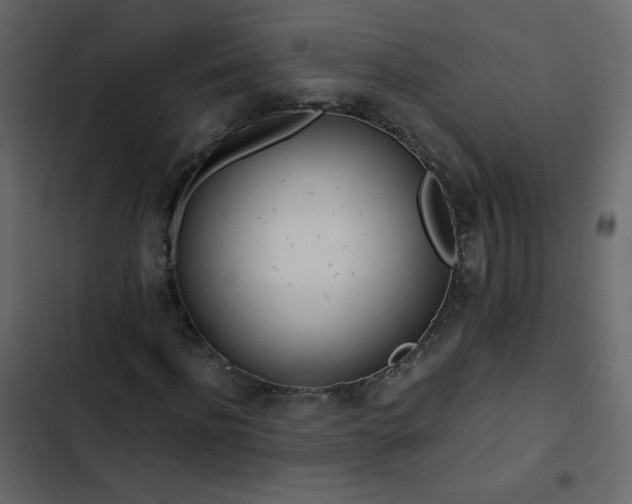 X0000102820916200809021247