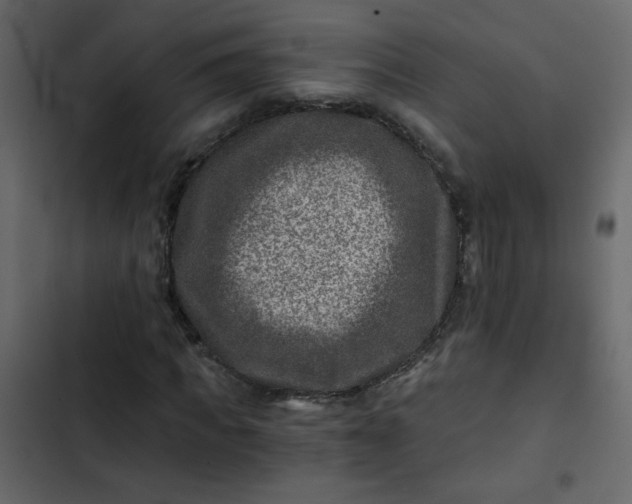 X0000102820917200809021247