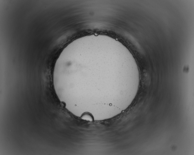 X0000102820918200809021247