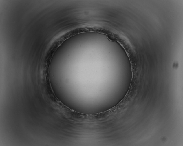 X0000102820920200809021247