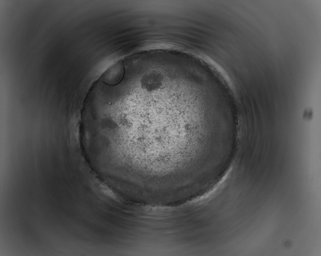 X0000102820921200809021247