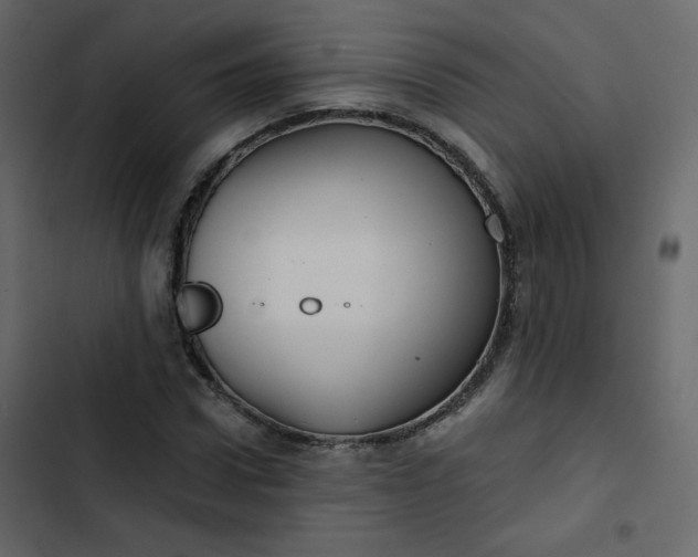 X0000102820922200809021247