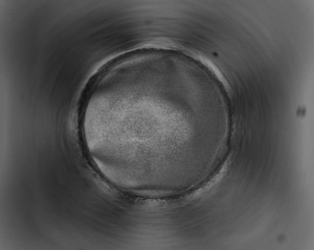 X0000102820923200809021247