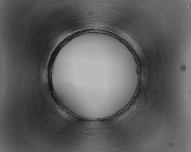 X0000102820924200809021247