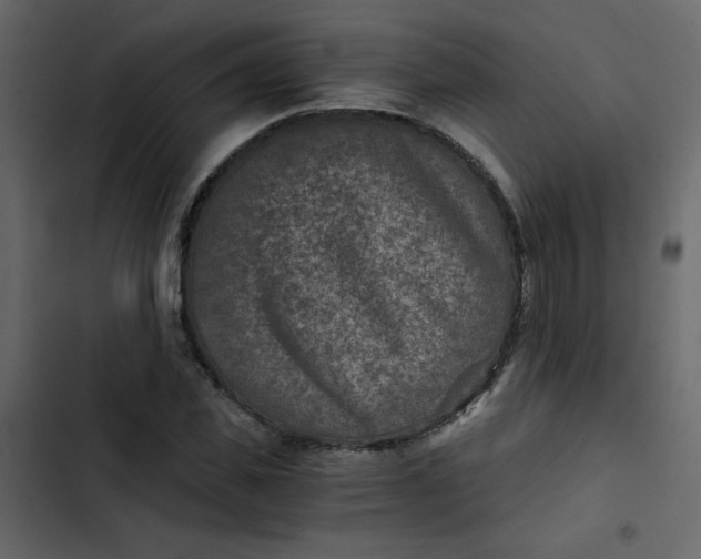X0000102820925200809021247