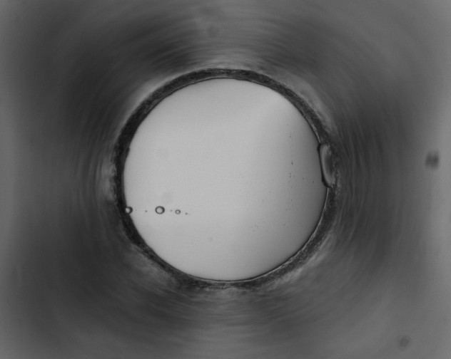 X0000102820926200809021247