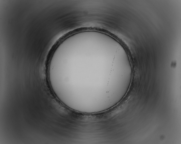 X0000102820927200809021247