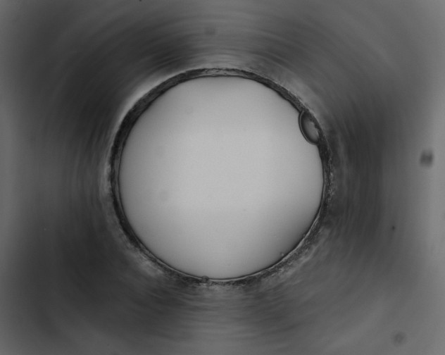 X0000102820928200809021247