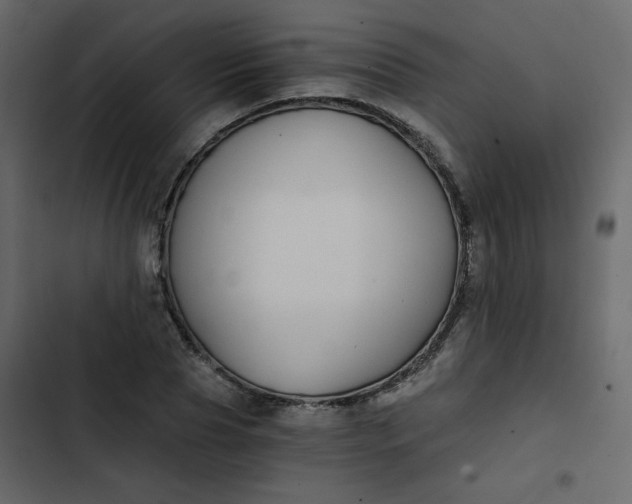 X0000102820929200809021247