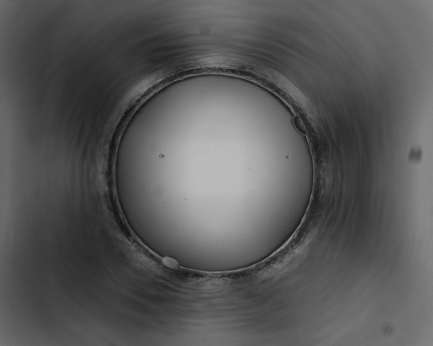 X0000102820930200809021247