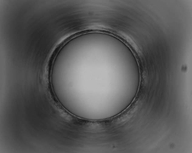 X0000102820931200809021247