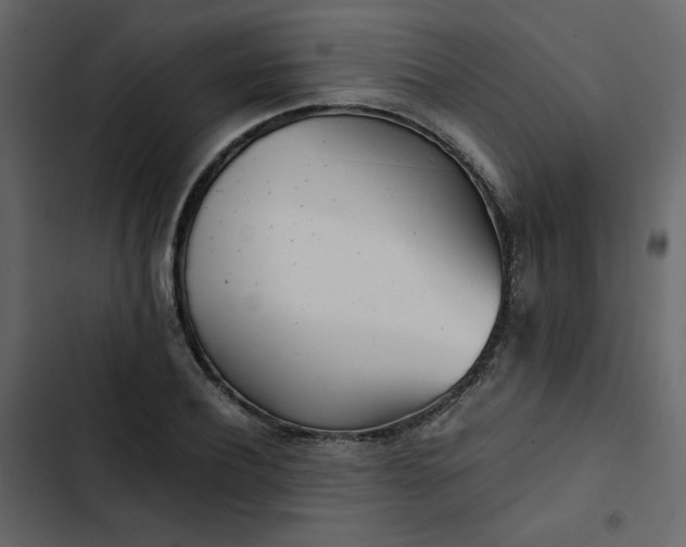 X0000102820932200809021247