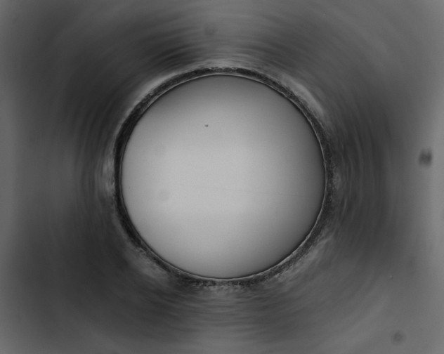 X0000102820934200809021247