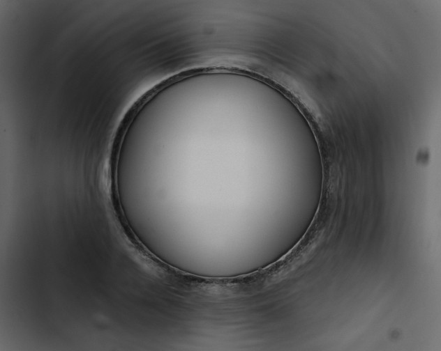 X0000102820936200809021247