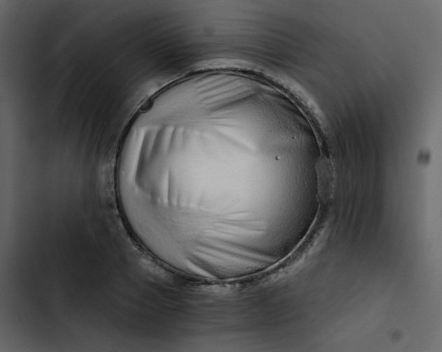 X0000102820937200809021247