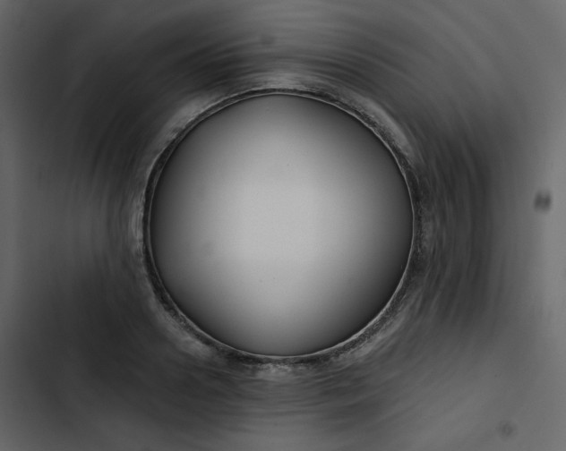 X0000102820938200809021247