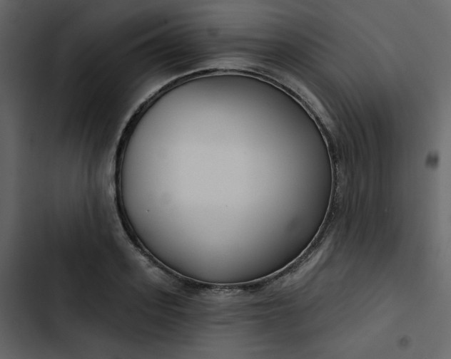 X0000102820939200809021247