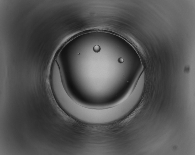 X0000102820940200809021247