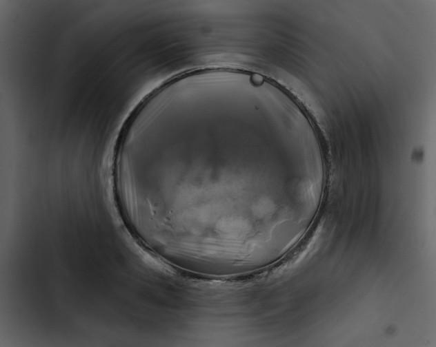 X0000102820941200809021247