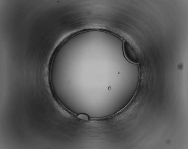 X0000102820942200809021247