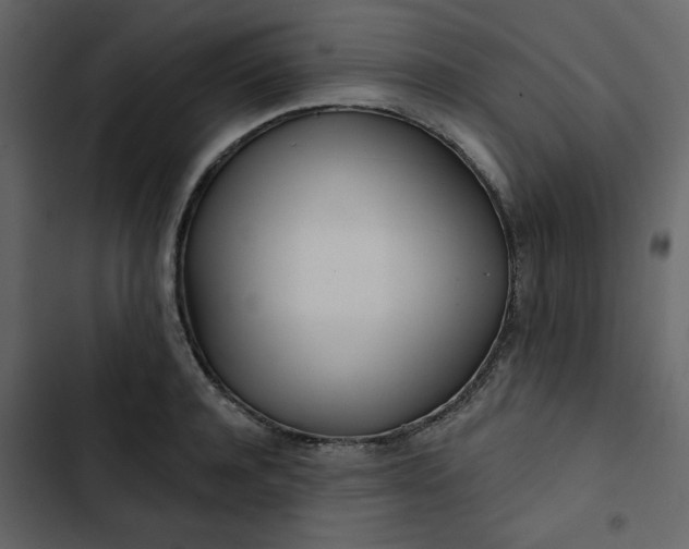 X0000102820944200809021247